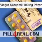 Viagra Sildénafil 100Mg Pfizer new06